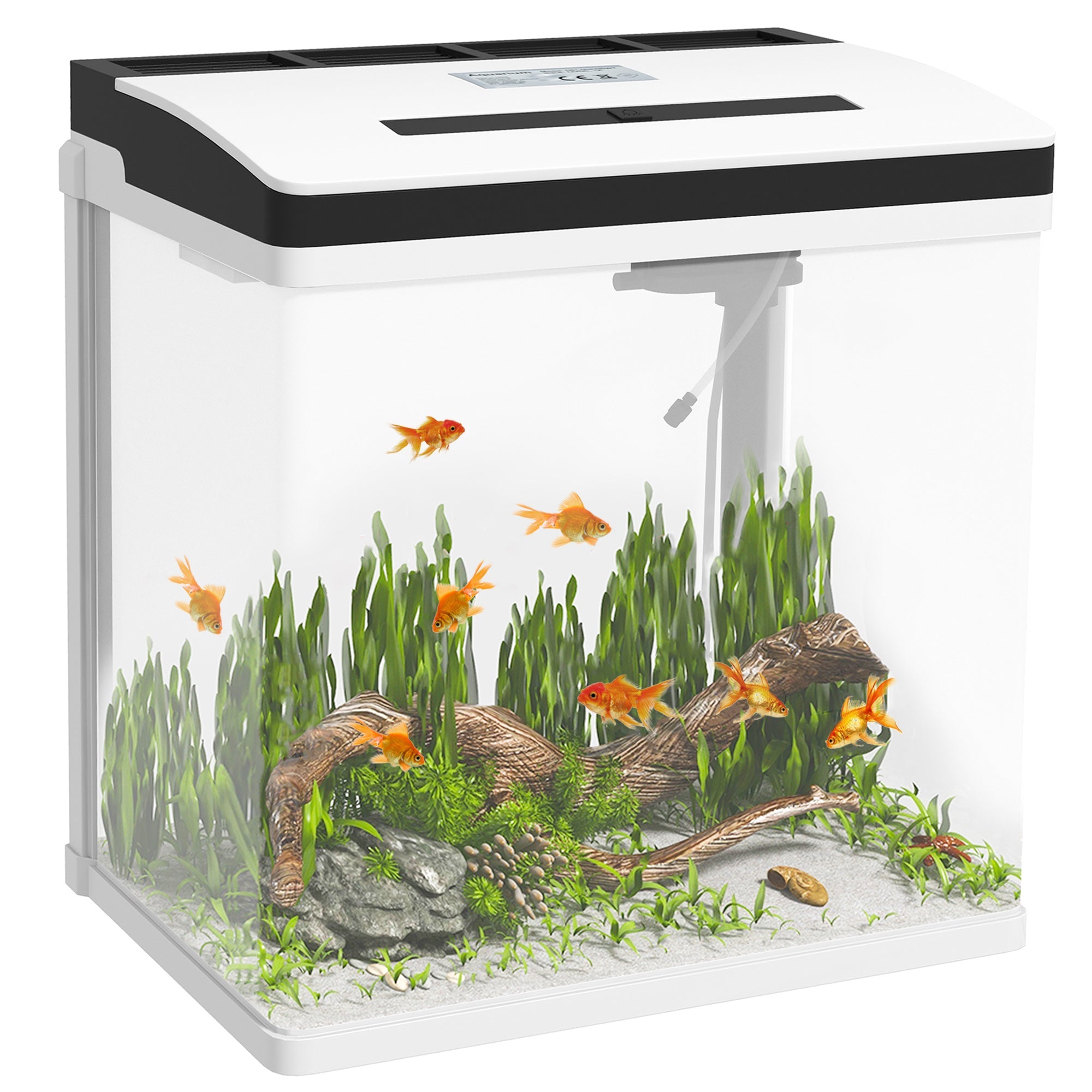 immagine-1-easycomfort-easycomfort-acquario-28l-a-illuminazione-led-con-fori-di-ventilazione-e-pompa-in-vetro-e-abs-38x26x38cm_e73a0958-2b9e-4018-b866-9ca55fb05a4e