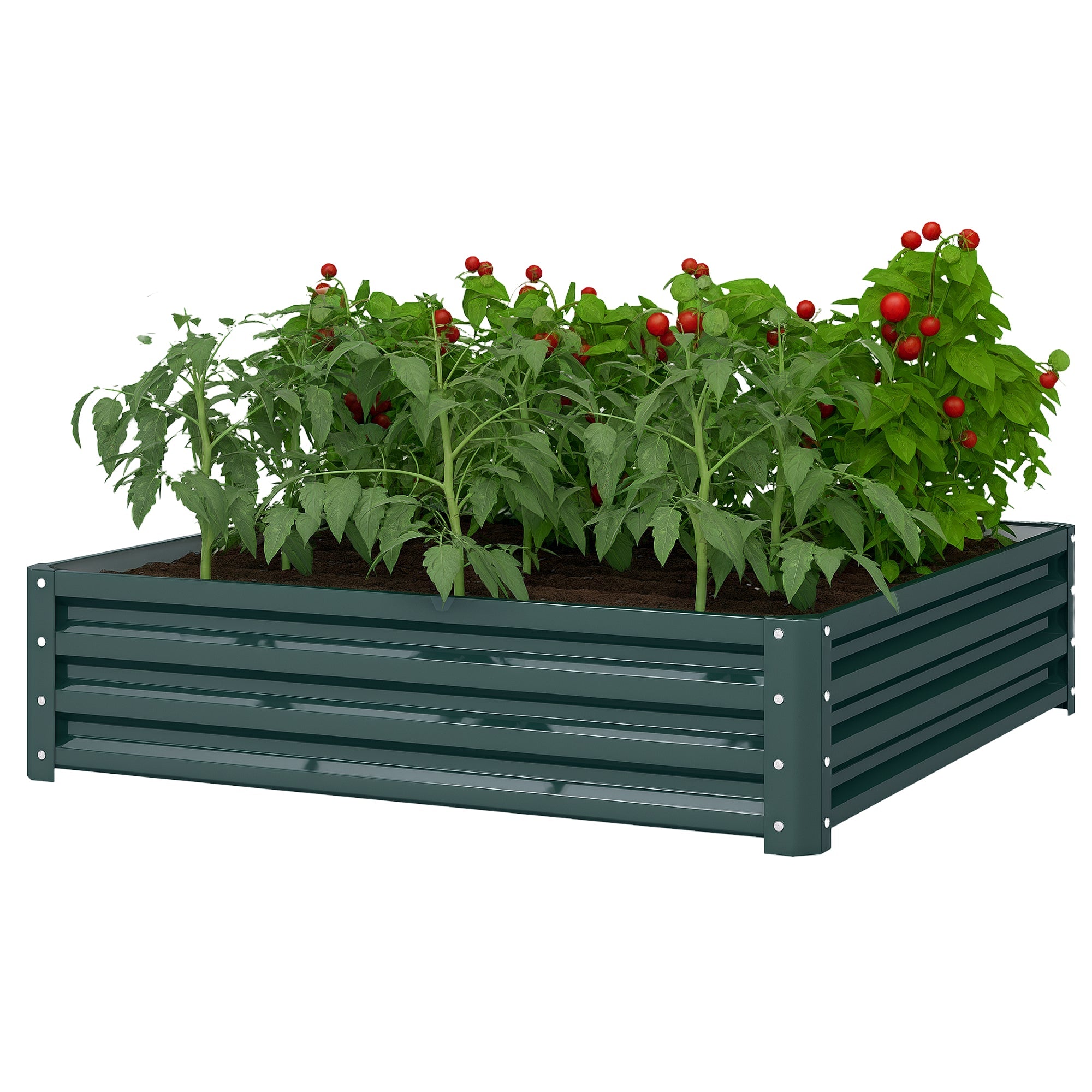 immagine-1-easycomfort-easycomfort-letto-per-orto-rialzato-a-fondo-aperto-con-rivestimento-in-acciaio-zincato-120x120x30-cm-verde_4b027790-59b4-4e8c-a631-c0982ad8c5d3