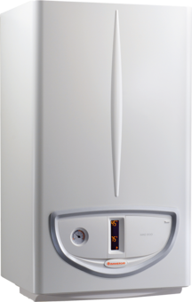 Immergas NIKE ECO 24 cv-ketel open kamer 24 kW
