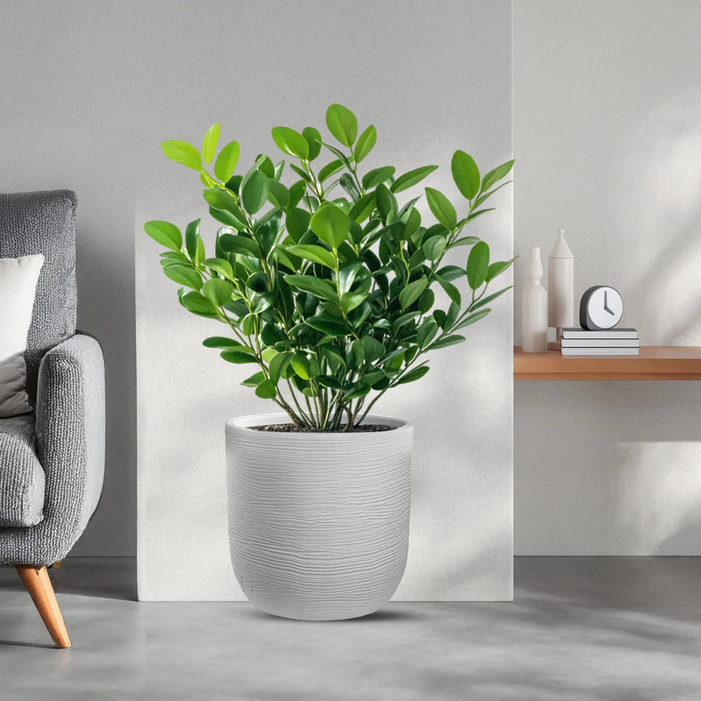 immagine-1-divina-garden-vaso-in-resina-da-esterno-interno-per-piante-cilindro-di-design-d-35x34h-raffaello-bianco-ean-8056157809012_cf1067ad-a586-43bb-9aaf-9686bef27d2d