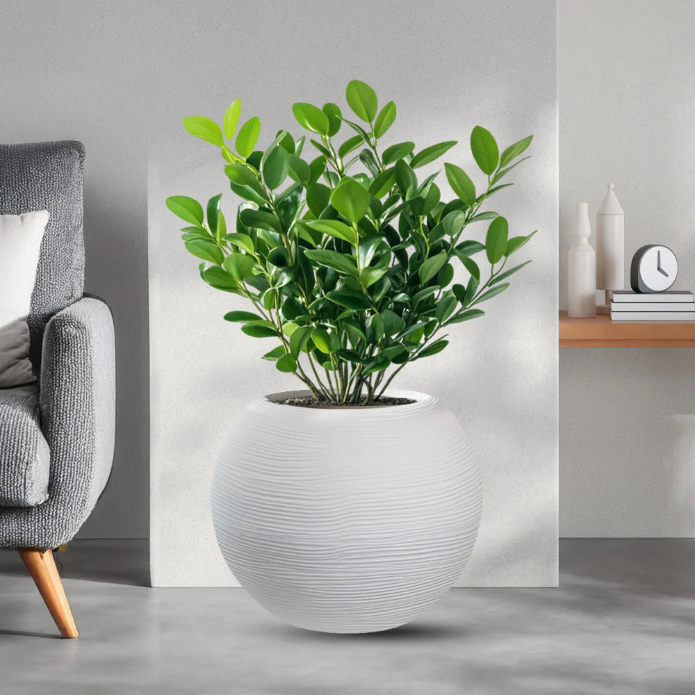immagine-1-divina-garden-vaso-in-resina-da-esterno-interno-per-piante-tondo-a-sfera-di-design-d-40x33h-botticelli-bianco-ean-8056157808961_5befc952-7e08-4766-986d-a4c1ec615152