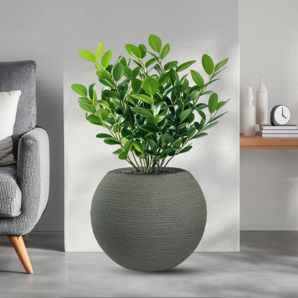 immagine-1-divina-garden-vaso-in-resina-da-esterno-interno-per-piante-tondo-a-sfera-di-design-d-40x33h-botticelli-verde-ean-8056157808985_8898b68e-5377-4007-9e0a-26ce3c2cfd84